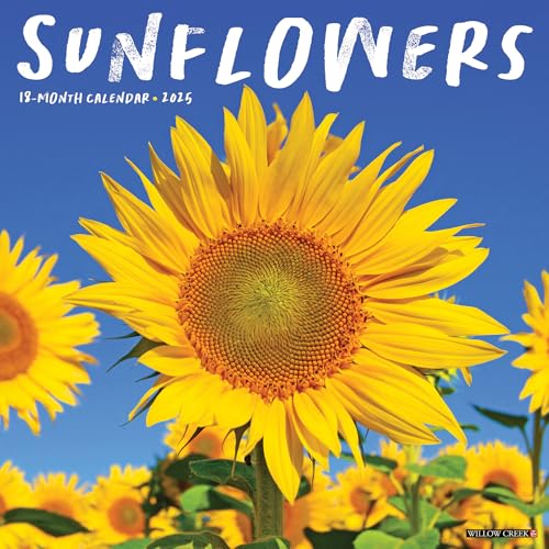 Sunflowers 2025 Wall Sunflowers 2025 Wall