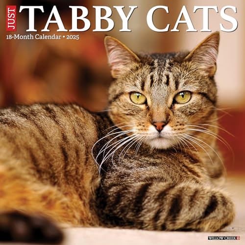 Tabby Cats 2025 Wall Tabby Cats 2025 Wall