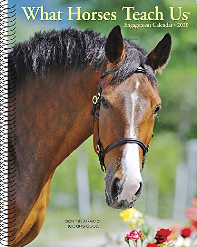 What Horses Teach Us 2020 Calendar von Willow Creek Pr