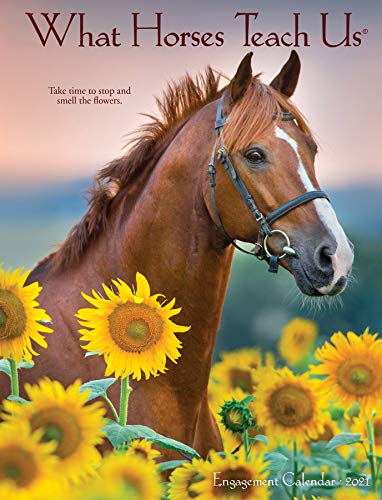 What Horses Teach Us 2021 Calendar What Horses Teach Us 2021 Calendar von WILLOW CREEK