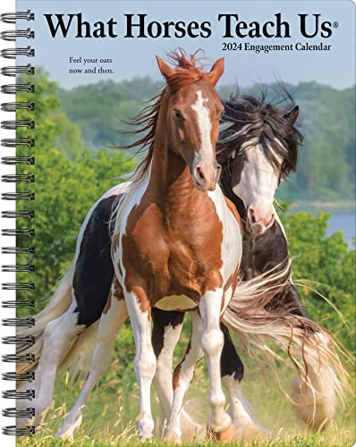 What Horses Teach Us 2024 6.5 X 8.5 Engagement Calendar What Horses Teach Us 2024 6.5 X 8.5 Engagement Calendar