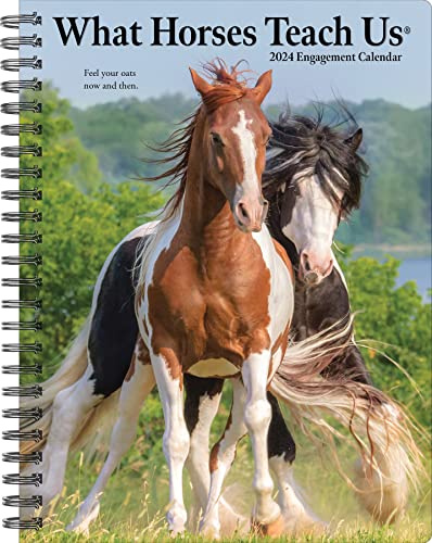 What Horses Teach Us 2024 6.5 X 8.5 Engagement Calendar