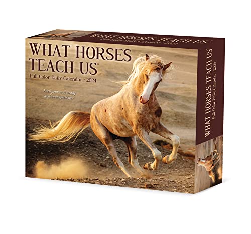 What Horses Teach Us 2024 6.2 X 5.4 Box Calendar What Horses Teach Us 2024 6.2 X 5.4 Box Calendar