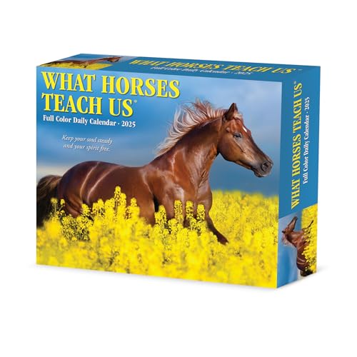 What Horses Teach Us 2025 6.2 X 5.4 Box Calendar What Horses Teach Us 2025 6.2 X 5.4 Box Calendar