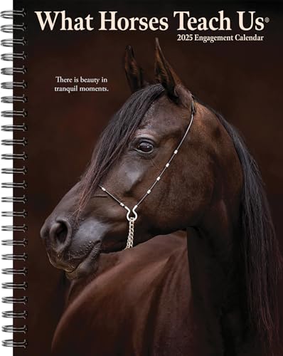 What Horses Teach Us Engagement 2025 What Horses Teach Us Engagement 2025