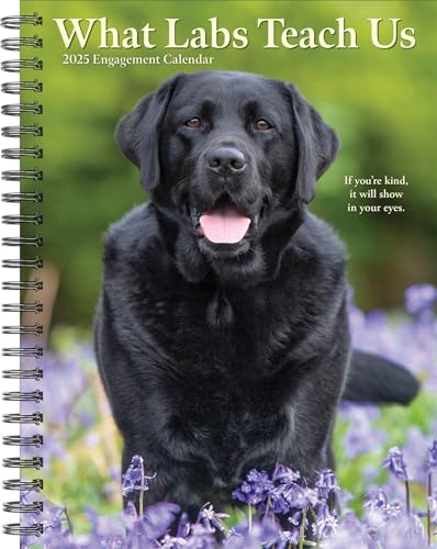 What Labs Teach Us 2025 6.5 X 8.5 Engagement Calendar What Labs Teach Us 2025 6.5 X 8.5 Engagement Calendar