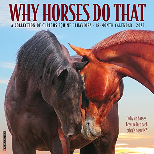 Why Horses Do That 2024 Calendar von Willow Creek Press