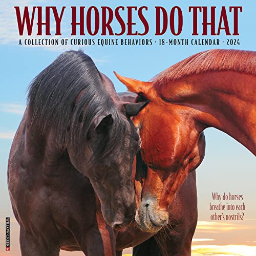 Why Horses Do That 2024 Calendar Why Horses Do That 2024 Calendar