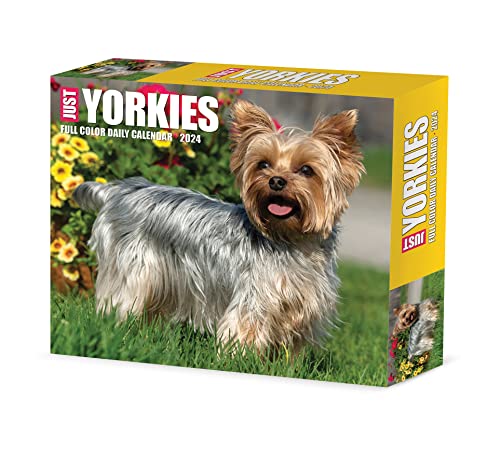 Yorkies 2024 6.2 X 5.4 Box Calendar