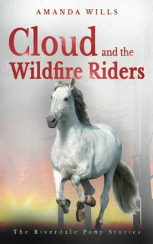 Cloud and the Wildfire Riders (The Riverdale Pony Stories, Band 11)