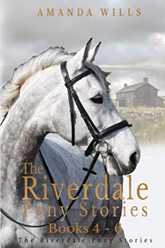 The Riverdale Pony Stories Omnibus Edition (Books 4-6): Redhall Riders, The Secret of Witch Cottage and Missing on the Moor von Independently published