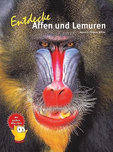 Entdecke Affen und Lemuren (Entdecke - Die Reihe mit der Eule: Kindersachbuchreihe)