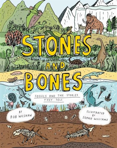 Stones and Bones: Fossils and the Stories They Tell von Cicada Books