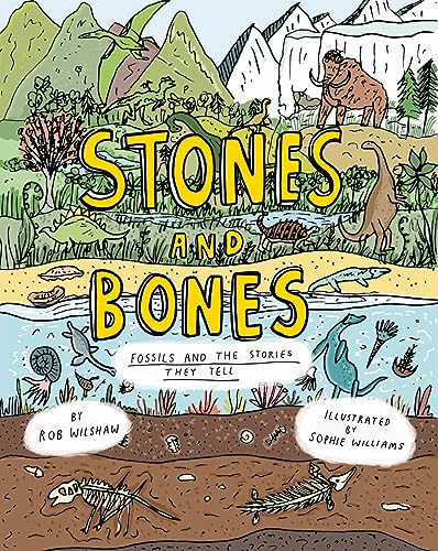 Stones and Bones: Fossils and the Stories They Tell von Cicada Books