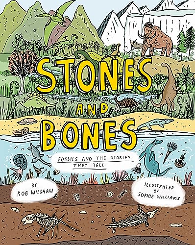 Stones and Bones: Fossils and the Stories They Tell von Cicada Books,