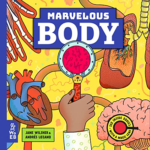 Marvelous Body: See Inside Bodies with a Magic Lens (Marvelous Magic Lens)
