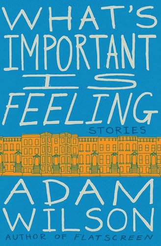 WHATS IMPORTANT FEELING: Stories von Harper Perennial