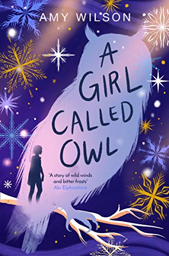 A Girl Called Owl von Macmillan Children's Books