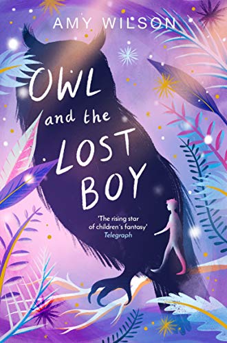 Owl and the Lost Boy von Macmillan Children's Books