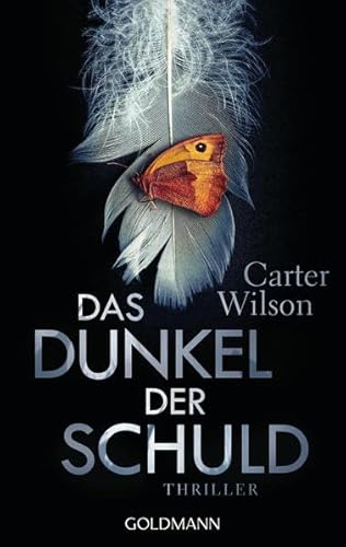 Das Dunkel der Schuld: Thriller