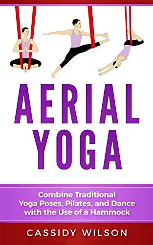 Aerial Yoga: Combine Traditional Yoga Poses, Pilates, and Dance with the use of a Hammock von Platinum Press LLC