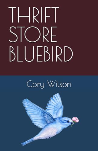 THRIFT STORE BLUEBIRD von Independently published