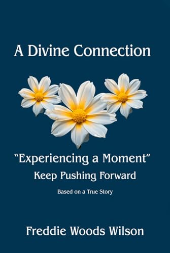 A Divine Connection “Experiencing a Moment” Keep Pushing Forward: Based on a True Story von Worldwide Publicists