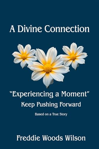 A Divine Connection “Experiencing a Moment” Keep Pushing Forward: Based on a True Story von Worldwide Publicists