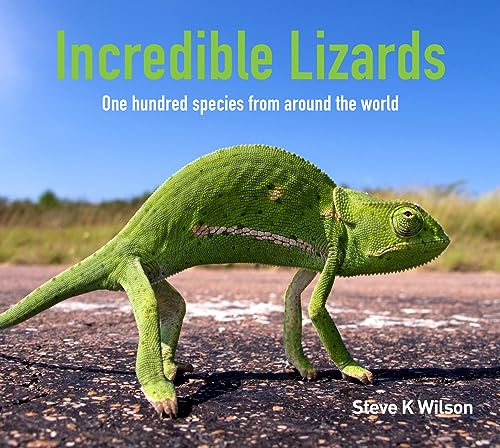 Incredible Lizards: One Hundred Species from Around the World von Reed New Holland