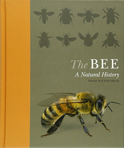 The Bee: A Natural History