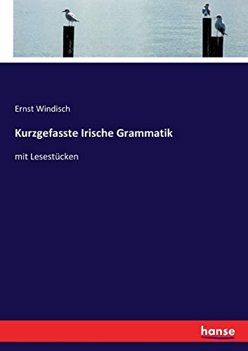 Kurzgefasste Irische Grammatik: mit Lesestücken von Hansebooks