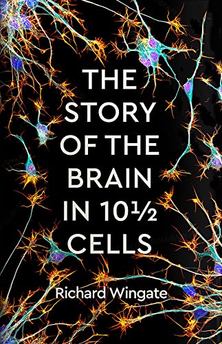 The Story of the Brain in 10½ Cells von Profile Books