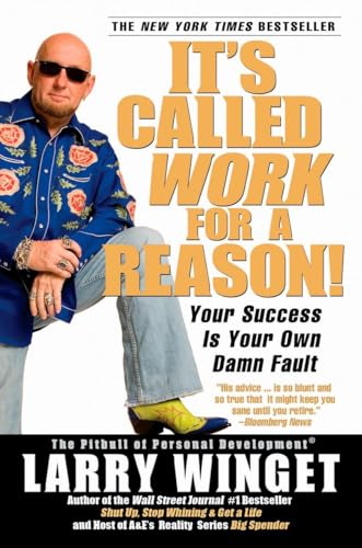 It's Called Work for a Reason!: Your Success Is Your Own Damn Fault