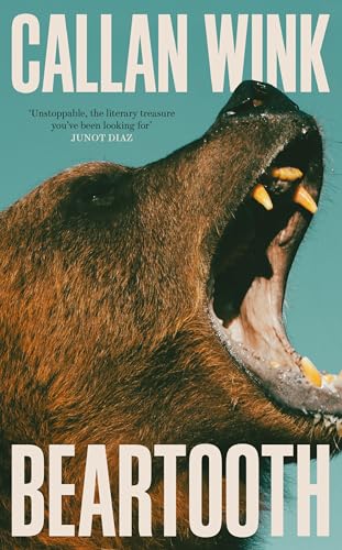 Beartooth von Granta Books
