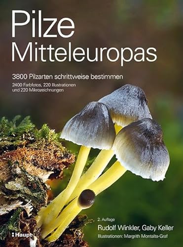 Pilze Mitteleuropas: 3800 Pilzarten schrittweise bestimmen. 2400 Farbfotos, 220 Illustrationen und 220 Mikrozeichnungen von Haupt Verlag