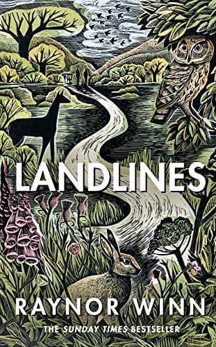 Landlines: The No 1 Sunday Times bestseller about a thousand-mile journey across Britain from the author of The Salt Path (Raynor Winn, 3) von Michael Joseph
