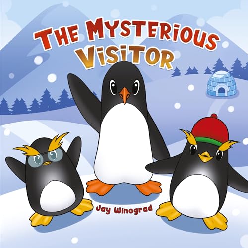 The Mysterious Visitor The Mysterious Visitor von Austin Macauley Publishers