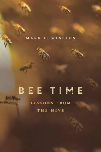 Bee Time: Lessons from the Hive von Harvard University Press