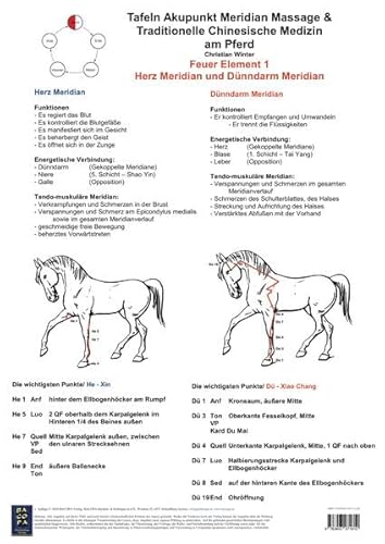 Feuer Element 1. Herz und Dünndarm Meridian.: AMM und TCM am Pferd Feuer Element 1. Herz und Dünndarm Meridian.: AMM und TCM am Pferd