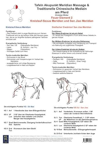 Feuer Element 2. Kreislauf-Sexus und San Jiao Meridian.: AMM und TCM am Pferd von BACOPA