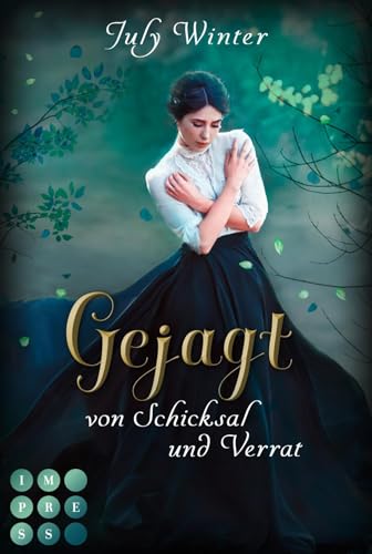 Gejagt von Schicksal und Verrat (Sturmwanderer 3): Fantasy-Liebesroman über die verbotene Liebe zu einem verloren geglaubten Prinzen