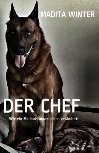 DER CHEF: Wie ein Malinois unser Leben veränderte