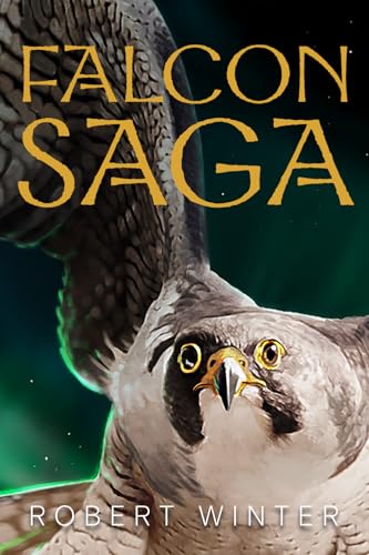 Falconsaga: A Tale of Icelandic Folklore von Robert Winter Books