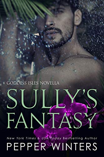 Sully's Fantasy (Goddess Isles, Band 6) von Independently Published