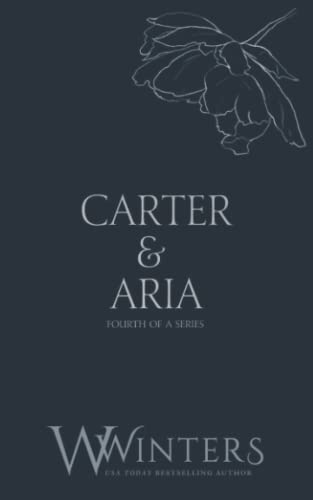 Carter & Aria: Endless (Discreet Series, Band 34)