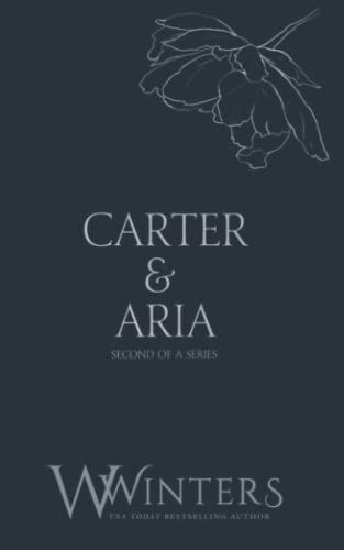 Carter & Aria: Heartless (Discreet Series, Band 32) von Independently published