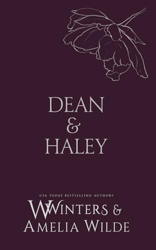 Dean & Haley: However You Want Me (Discreet Series, Band 65) von Willow Winters Publishing LLC