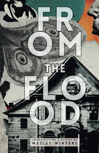From the Flood: Short Fiction and Poetry von Independently published