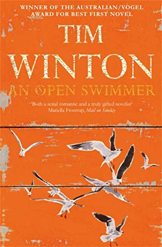 An Open Swimmer von Picador