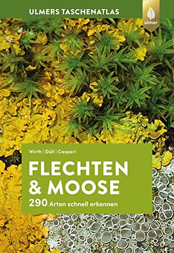 Flechten und Moose: 290 Arten schnell erkennen von Ulmer Eugen Verlag